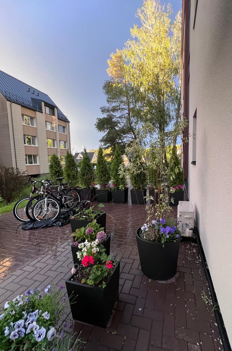 Birstonas Rent Apartment in Lithuania