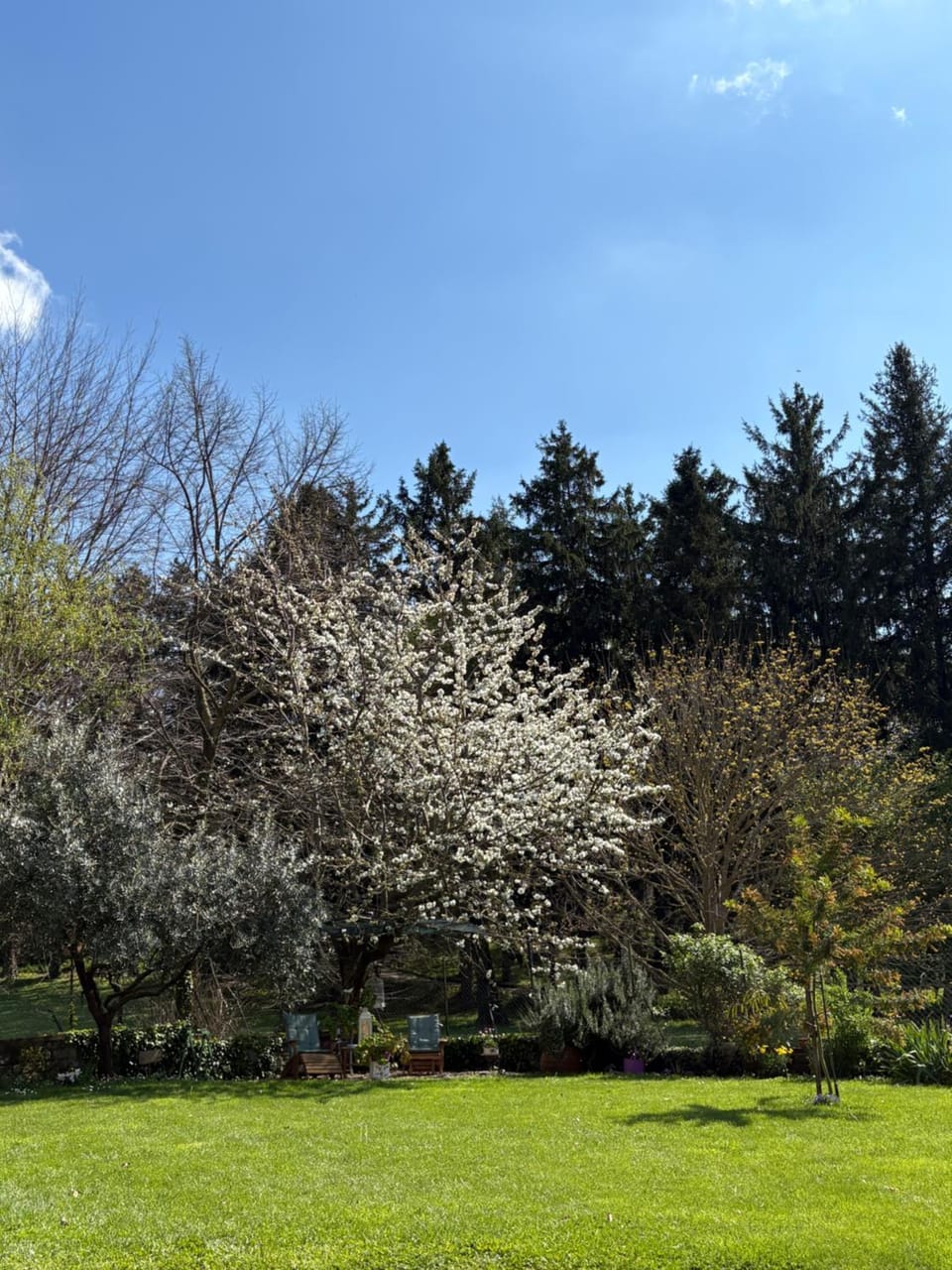 Il giardino segreto House in Grottaferrata