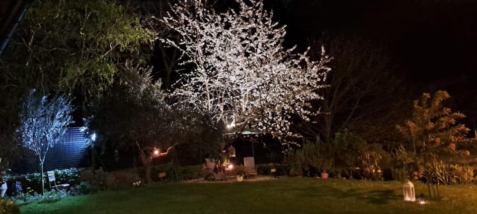 Il giardino segreto House in Grottaferrata