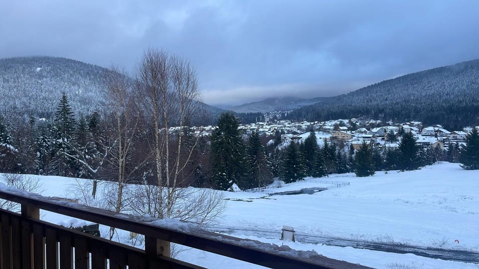 View (from property/room)