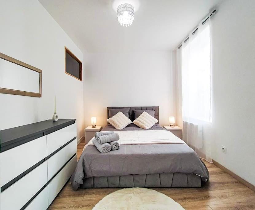 Charme de l'Isère au Coeur de Ville Apartment in Provence