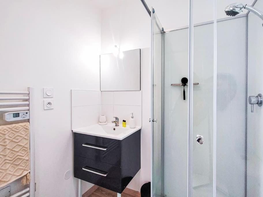 Charme de l'Isère au Coeur de Ville Apartment in Provence