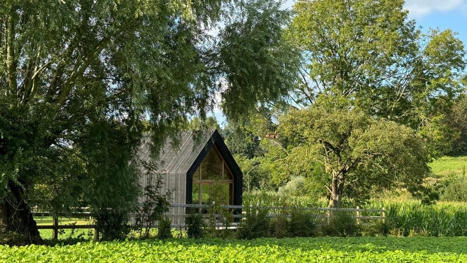 Spring, Day, Natural landscape, Garden, Garden view