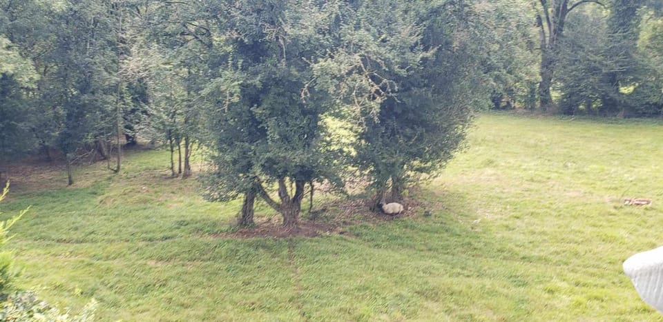 Maison aux portes du Morvan House in Bourgogne-Franche-Comté