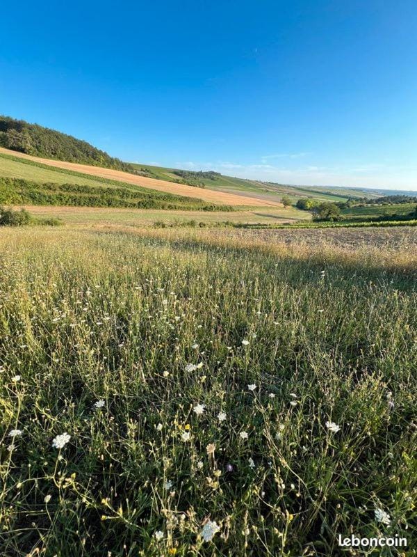 Maison aux portes du Morvan House in Bourgogne-Franche-Comté