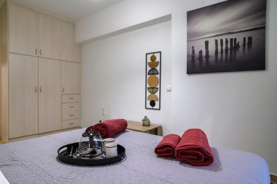Premium Athenian District Urban 1 bedroom flat A Apartment in South Athens