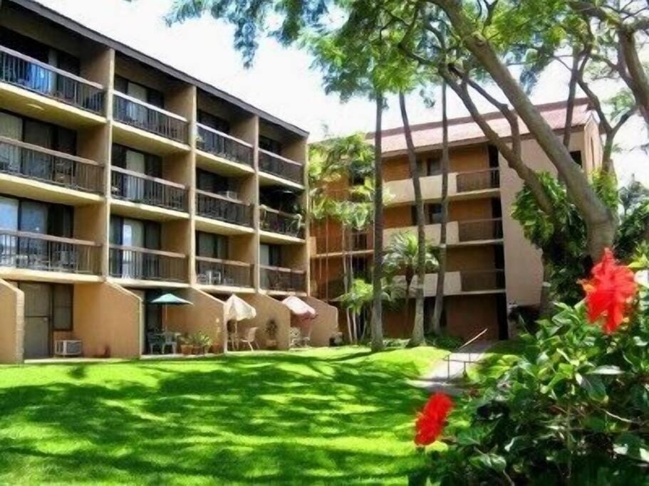 Property building, Garden view
