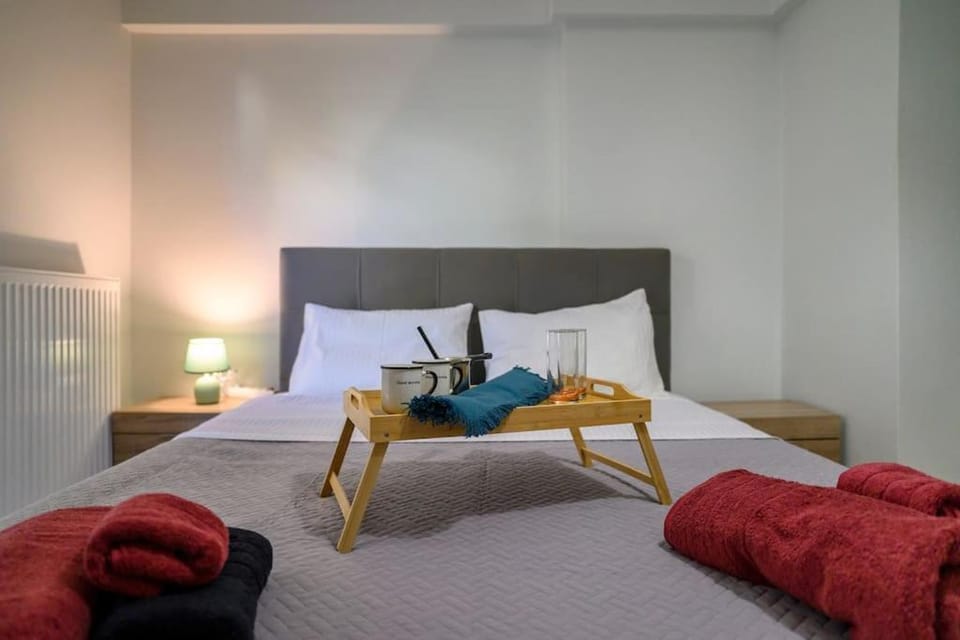 Premium Athenian District Urban 1 bedroom flat B Apartment in South Athens