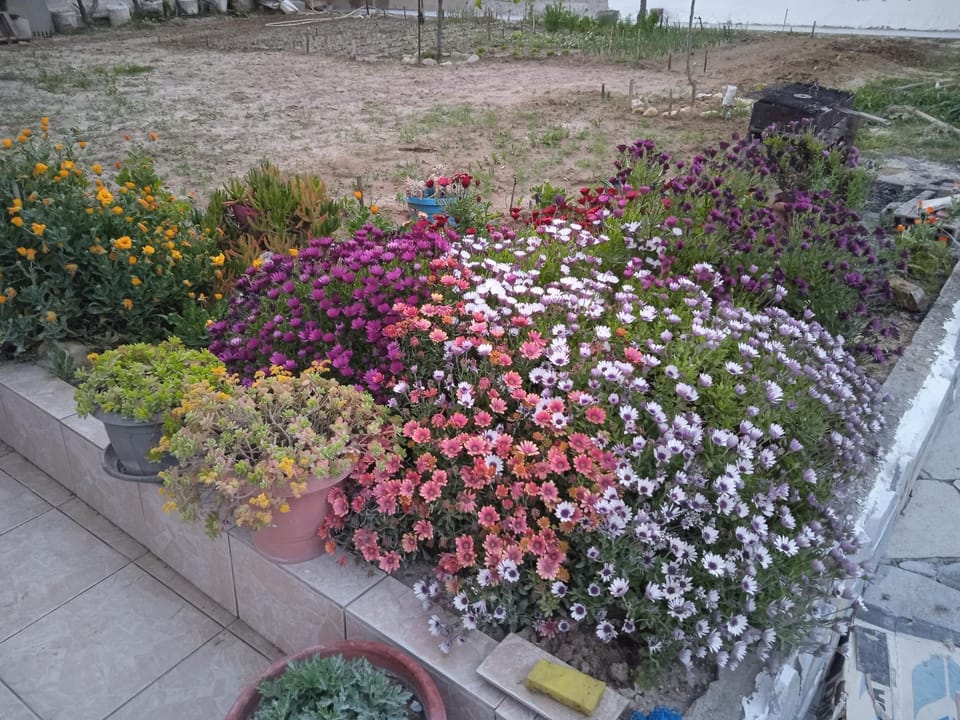 Apartment Mixail 1 Apartment in Halkidiki