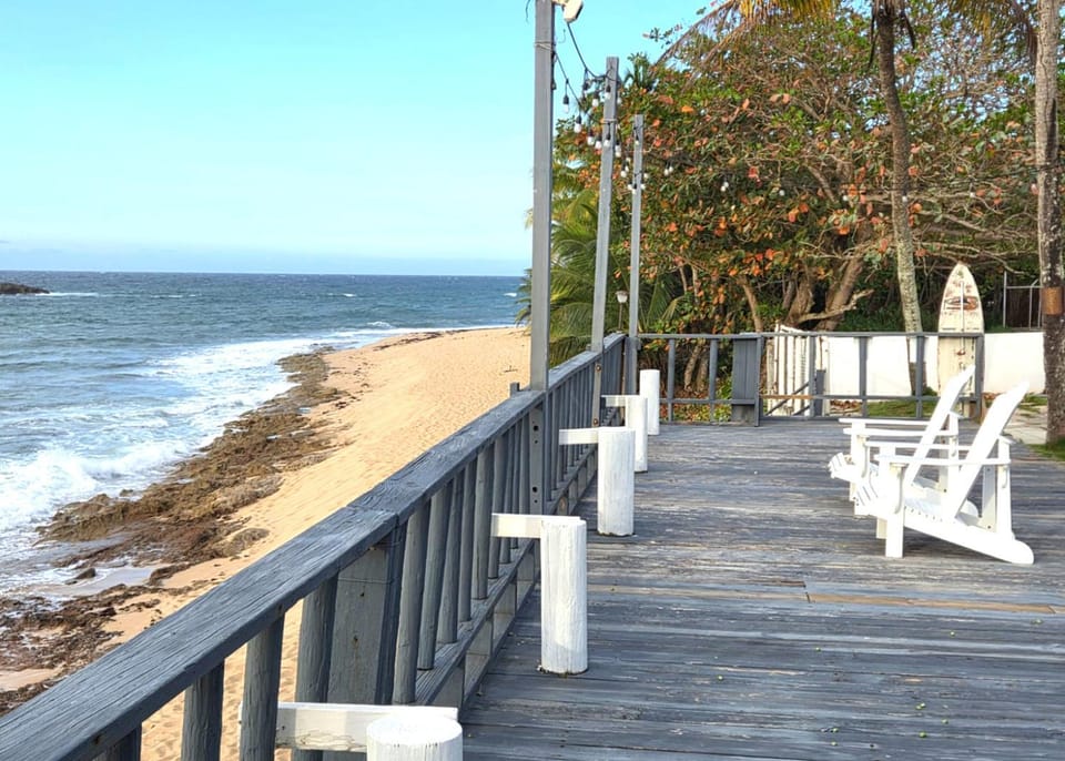 Day, View (from property/room), Beach, Sea view, sunbed
