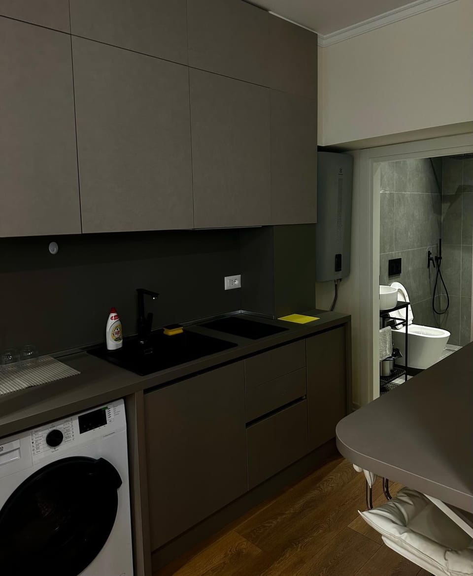 Kitchen or kitchenette, washing machine
