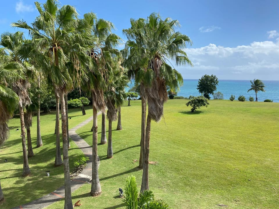 Garden view