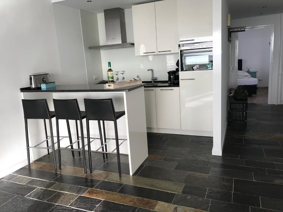Berrie's Sea View Apartment in Zandvoort