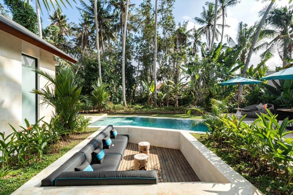 Natural landscape, Seating area, Pool view, Swimming pool, sunbed