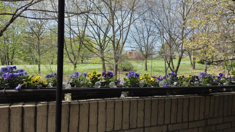 Cerak Haven Apartment in Belgrade