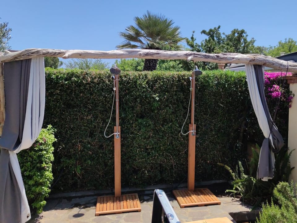 Day, Garden, Garden view