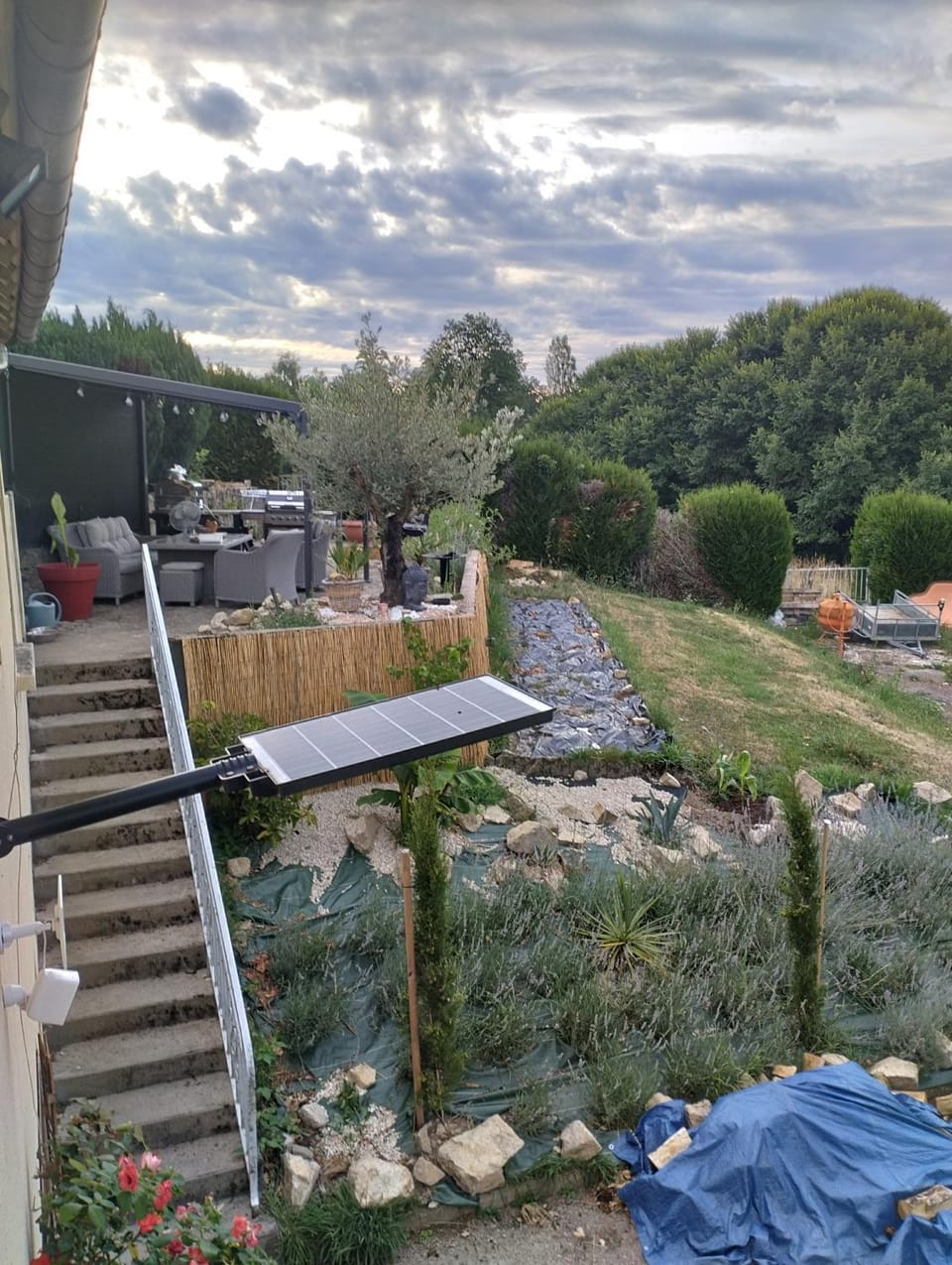 Garden view