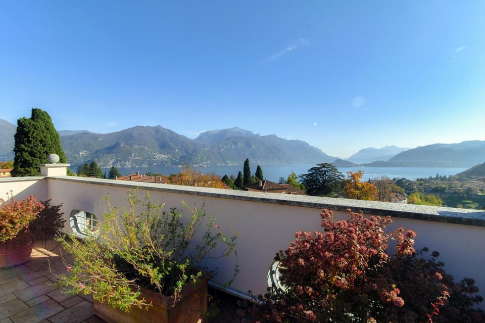 Lake view