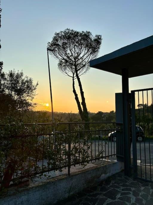 Natural landscape, View (from property/room), Sunset