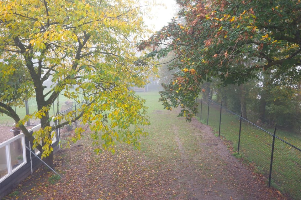 Garden, View (from property/room)