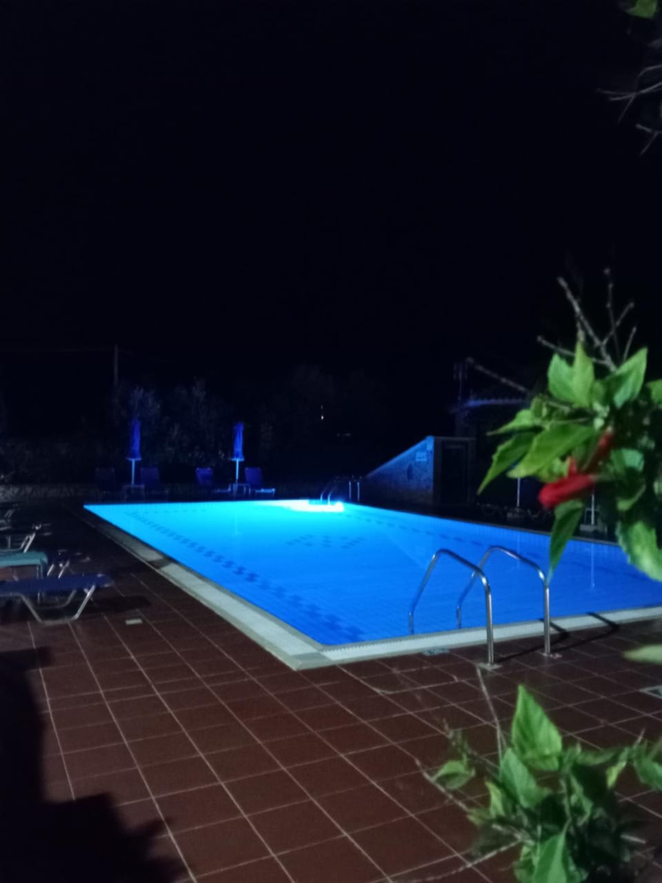 Ionio Holidays Katerina Apartments Apartment in Zakynthos, Greece
