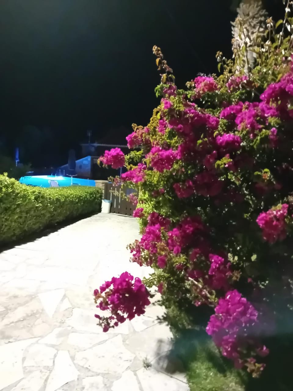 Ionio Holidays Katerina Apartments Apartment in Zakynthos, Greece