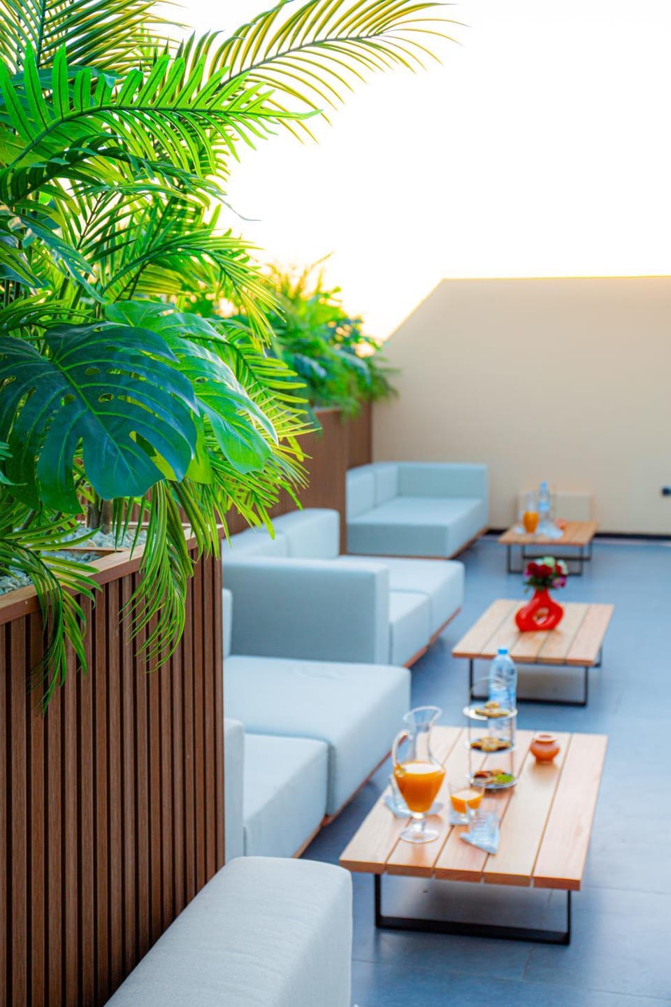 Day, Dining area, Food, Drinks
