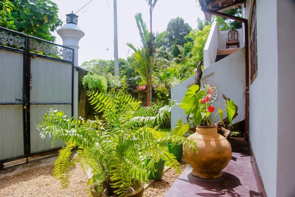 Garden view