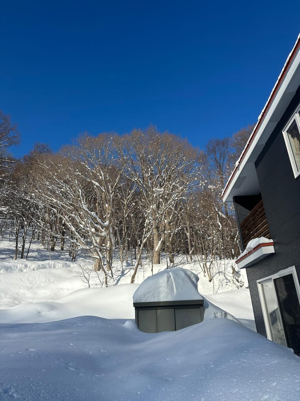 Teine red house手稻红房子 House in Sapporo
