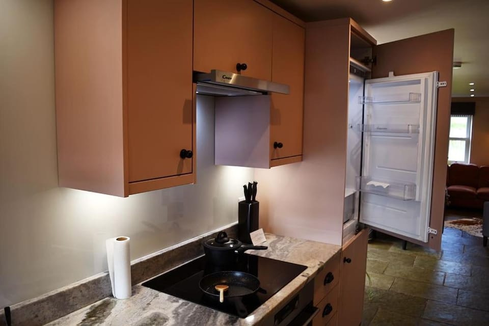 Kitchen or kitchenette, dishwasher, oven, pet friendly, stove