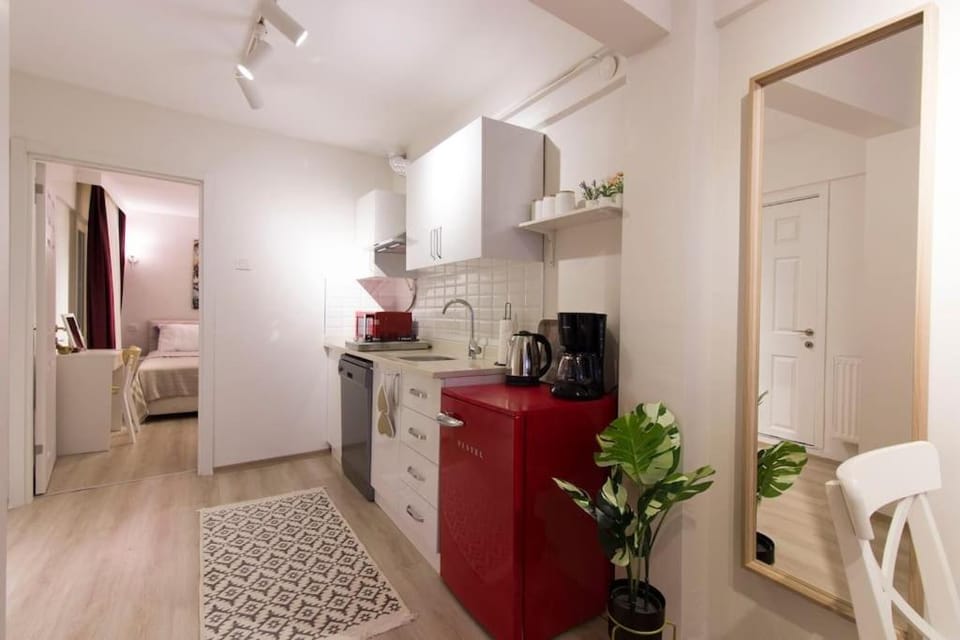 Fully Renovated 2BR Flat in Prime Location at Moda Apartment in Istanbul