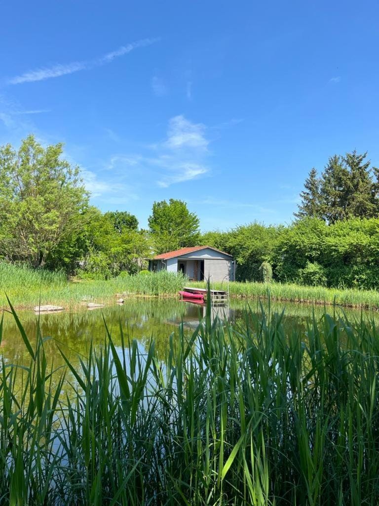 Spring, Natural landscape, Activities, Lake view