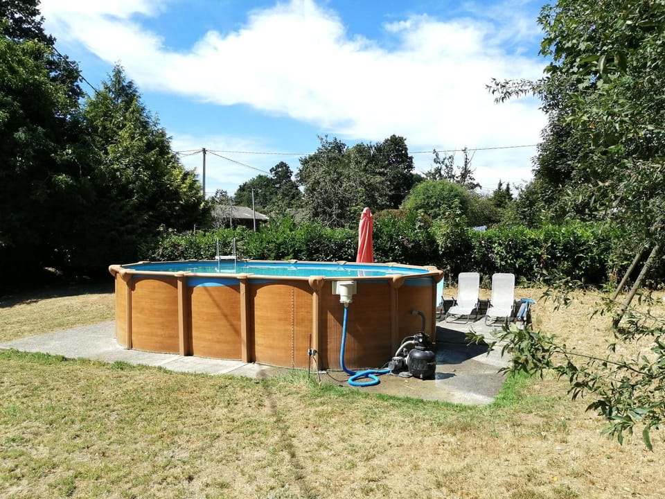 Garden, Garden, Swimming pool, Swimming pool, sunbed
