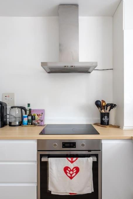 Quaint Apartment Near Tower-London Bridge and Big Ben Apartment in London Borough of Southwark