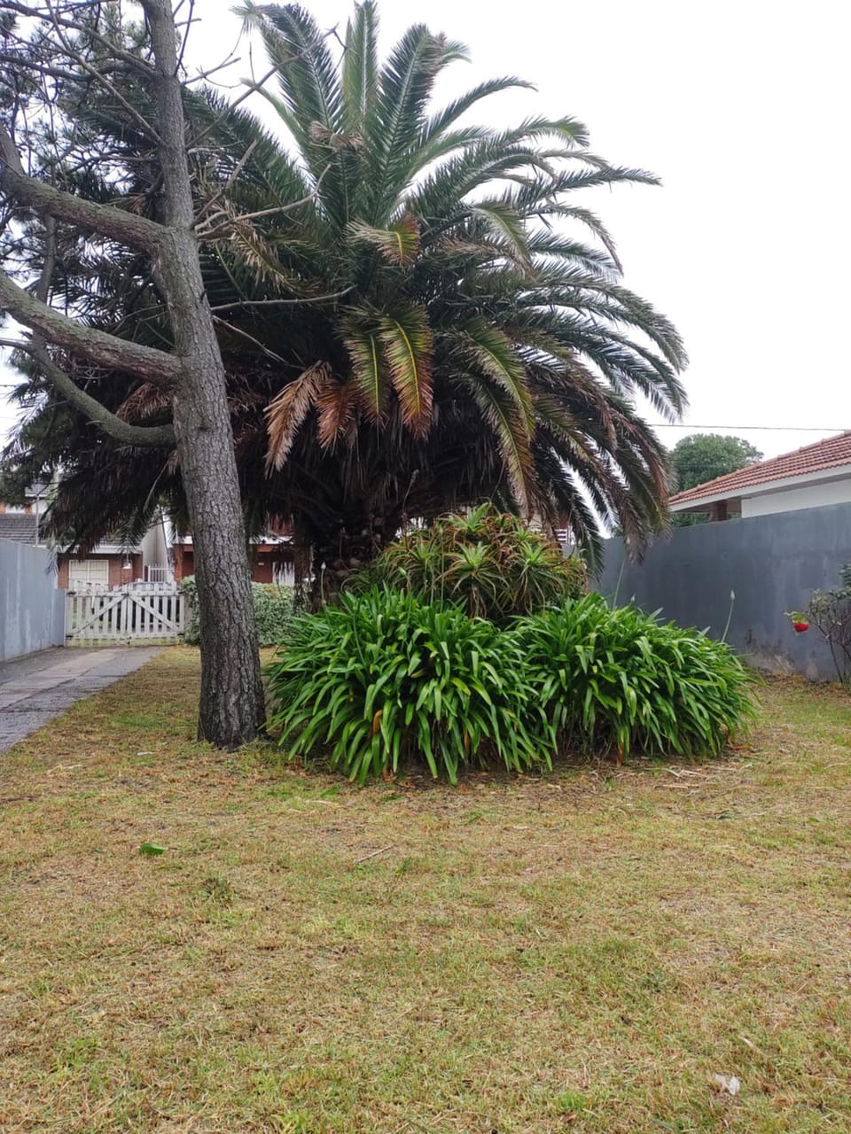 Patio, Off site, Garden view