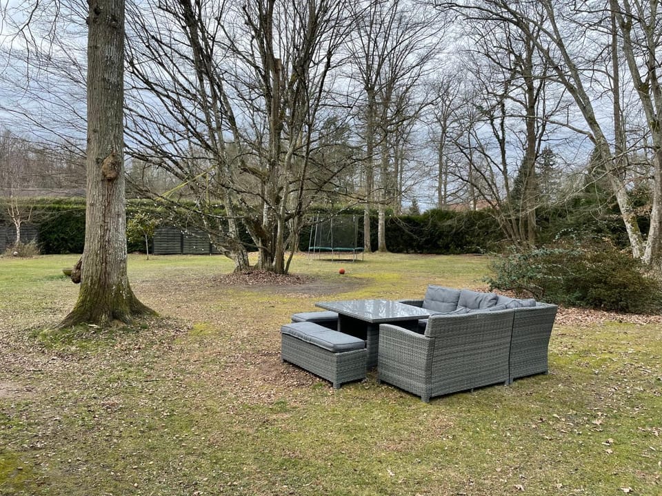 Property building, Garden view