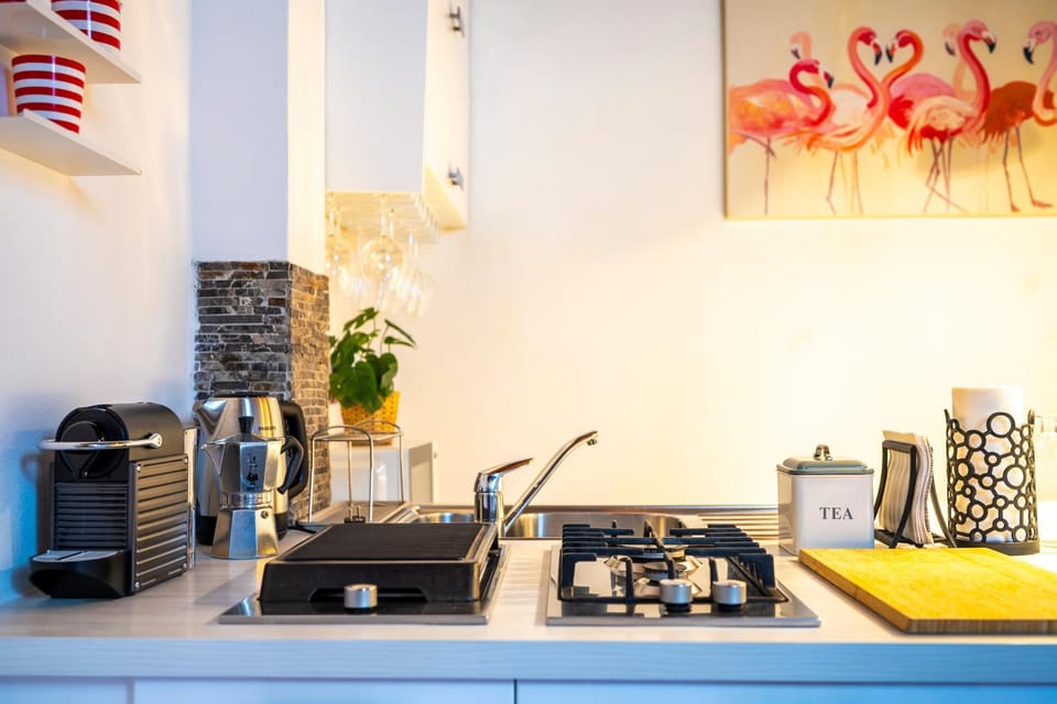 Coffee/tea facilities, Kitchen or kitchenette, minibar, pet friendly, stove, toaster