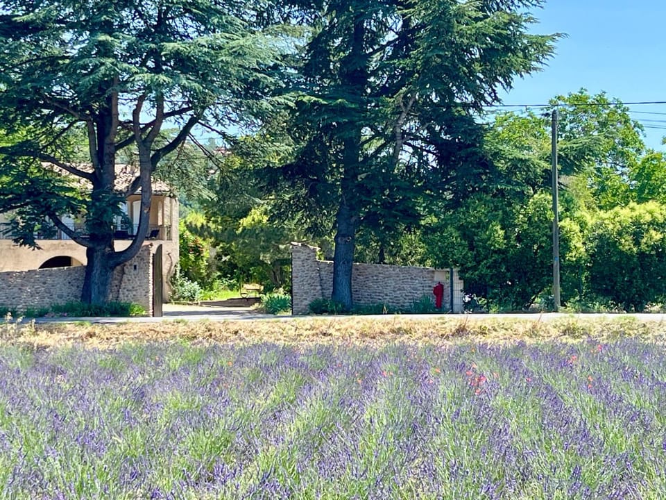 Property building, Facade/entrance, Spring, Day, Natural landscape, Garden, Garden view