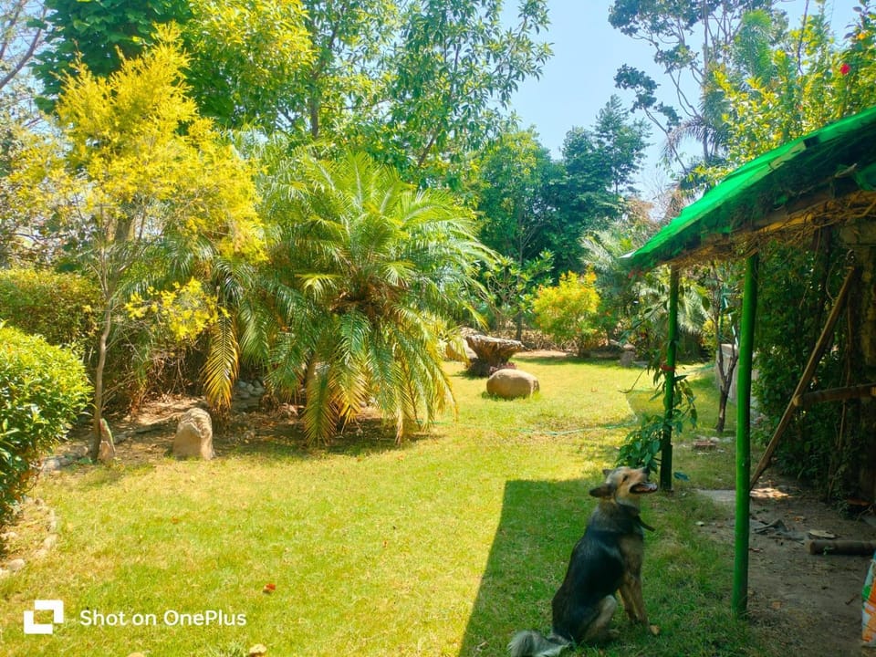 The Wild Escape Farmhouse Retreat Farm Stay in Uttarakhand