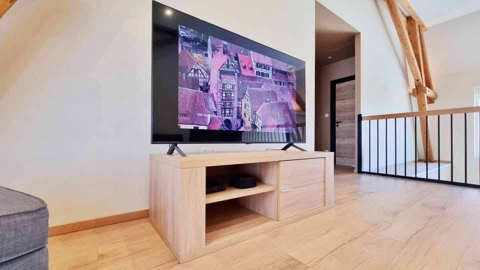 TV and multimedia