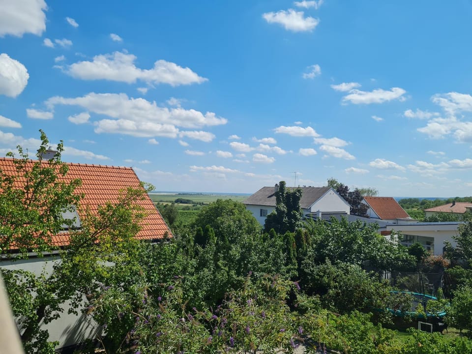 Ferienwohnungen Ödenburgerhof Apartment in Hungary
