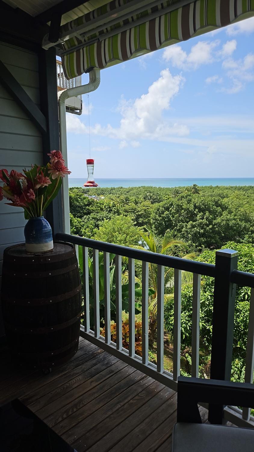 View (from property/room)