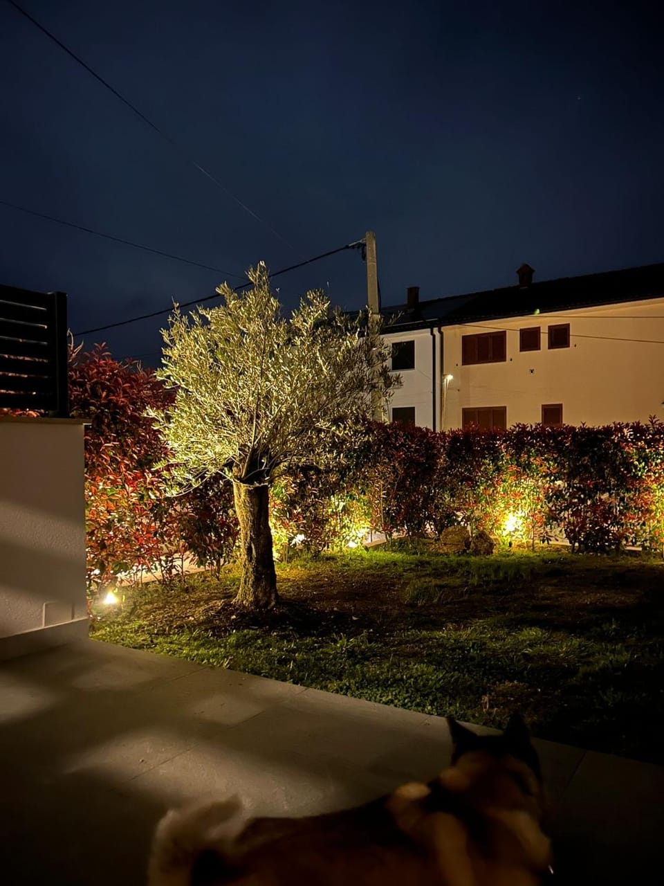 Garden, Garden view