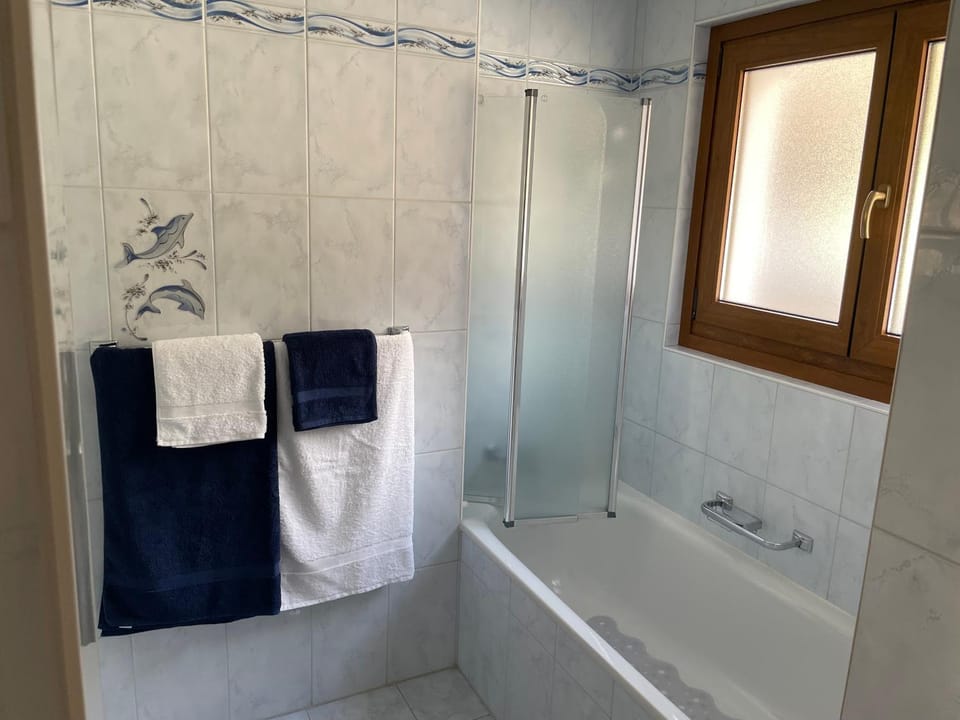 Large 3 bed apartment with mountain views, pool and gym Apartment in Canton of Vaud