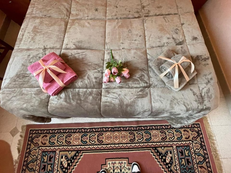 Iolly's House Apartment in Livorno