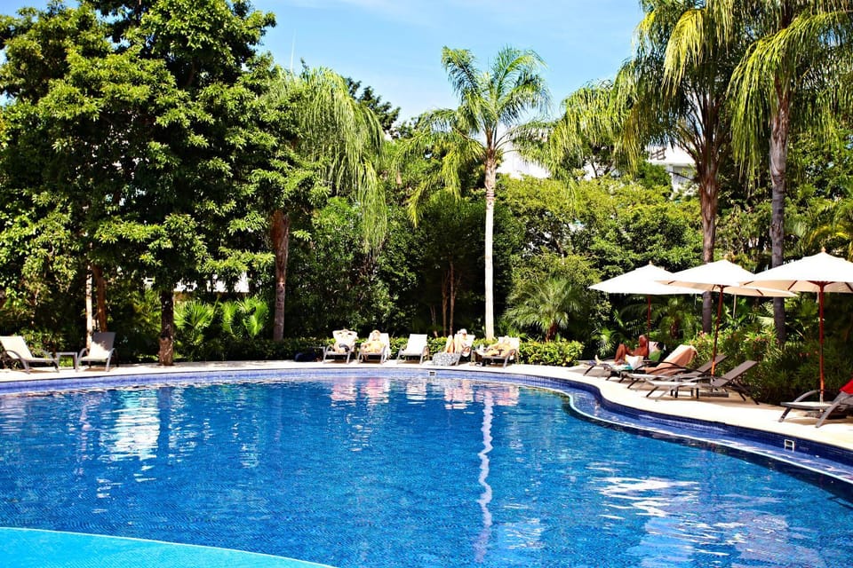 Spring, Day, Garden, Garden view, Pool view, Swimming pool, sunbed