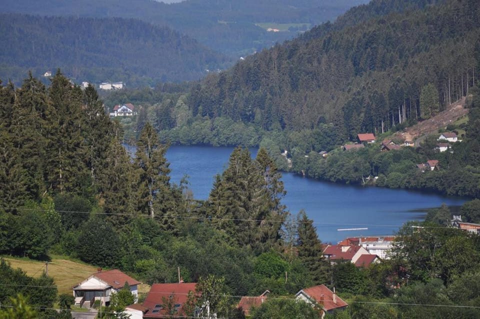 Lake view