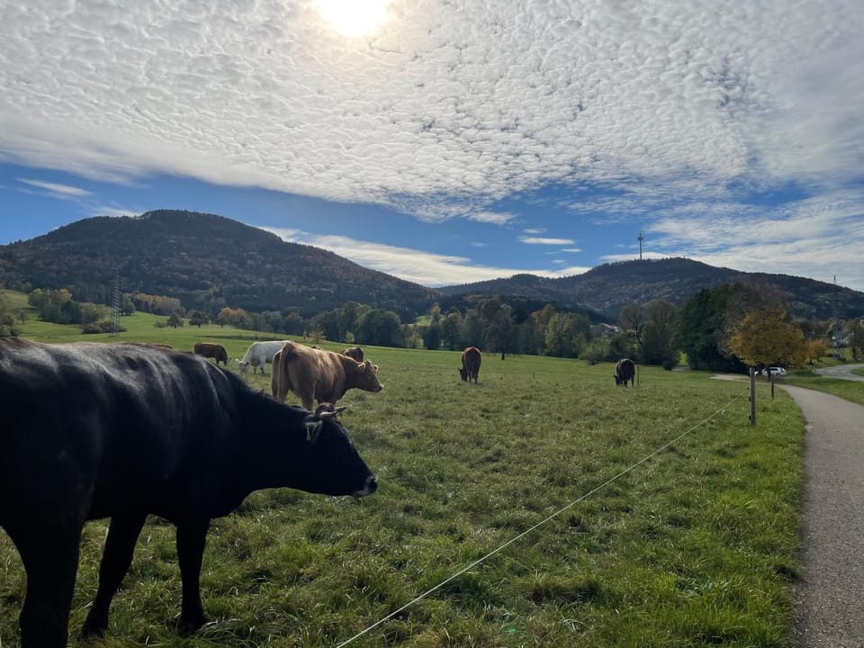 Natural landscape, Mountain view