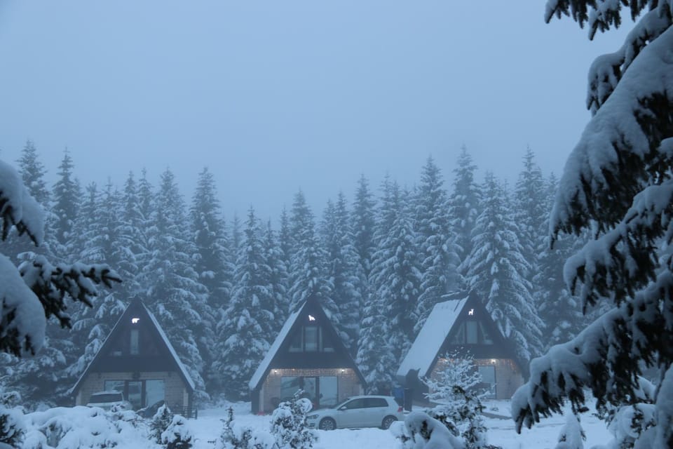 Wild Lodges House in Montenegro