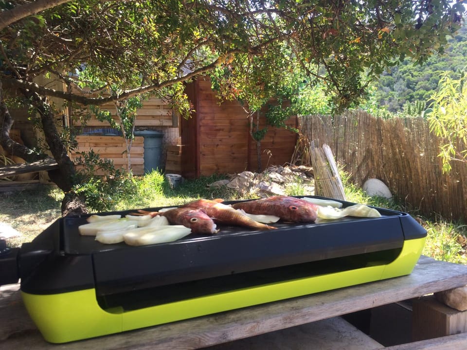 RC d'un Cabanon écologique ile du levant Naturiste reservable du samedi au samedi House in Hyères
